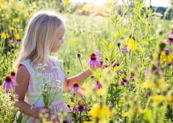 little girl 2516578 640