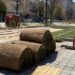 В центъра на София се изгражда “зелен остров”, ще има кътове за отдих и над 10 хиляди цветя
