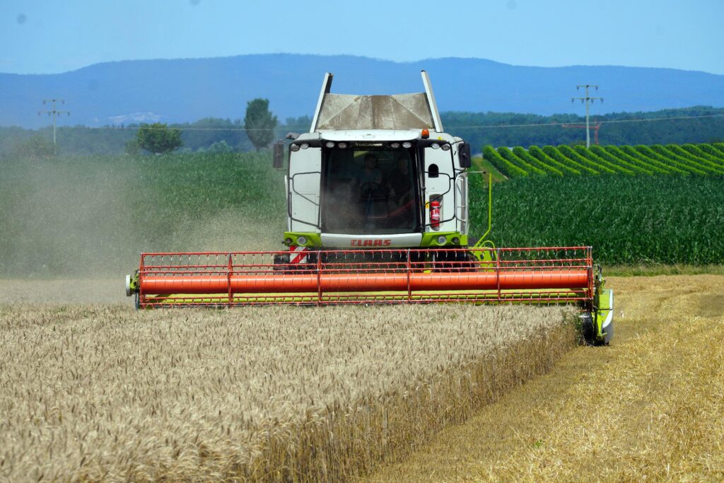 Снимката е илюстративна