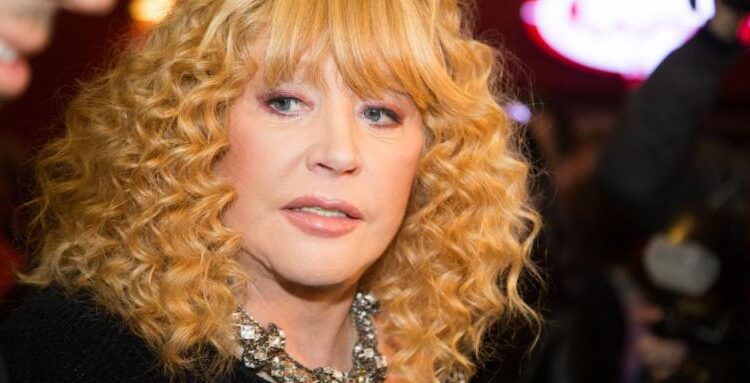 Алла Пугачова прави фирма за оръжие 1 pugacova