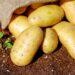 Производители: Картофите скачат двойно, мерките утежняват положението