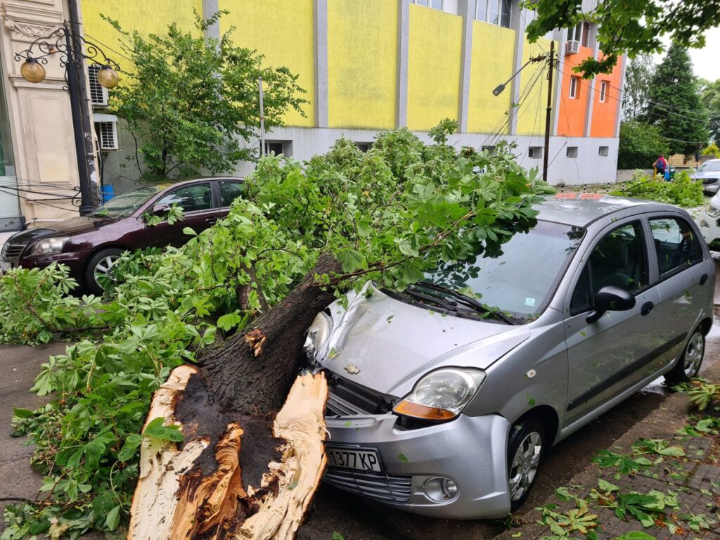 Мощна буря нанесе огромни щети в Русе (СНИМКИ) 3 285879835 3180216292193000 296819188507063629 n