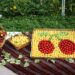 Празник на черешата събира в Кюстендил малки и големи, занаятчии и певци 8 Празник на черешата събира в Кюстендил малки и големи, занаятчии и певци