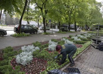Хиляди нови цветя красят старозагорските паркове