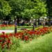 Още свободни wi-fi зони в столичните паркове