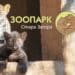 Зоопаркът в Стара Загора преминава на зимно работно време