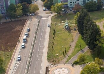 Стара Загора осигурява отново терен за засаждане на коледни елхи