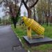 Шишеядът в Асеновград събра 26 килограма шишета, хората още се учат как се ползва