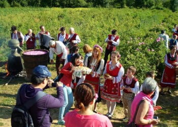 Българското розово масло вече е защитено като интелектуална собственост