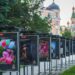 "Смисъл за бъдещето" обединява 12 популярни българи 8 “Смисъл за бъдещето” обединява 12 популярни българи