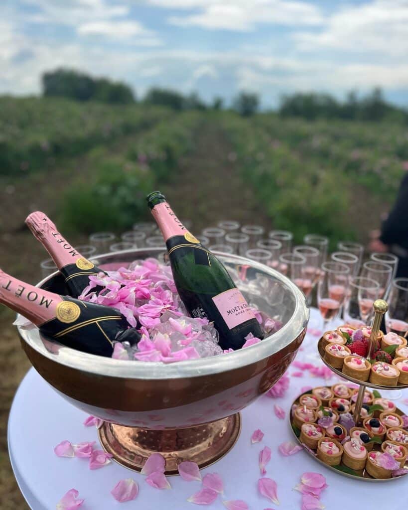 Copsa Open Art вдъхва нов живот на стари традиции 3 350092718 1338429106708353 5569048541100189284 n