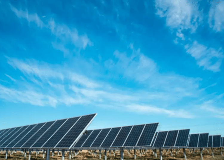 10976 solar park unsplashlwebp
