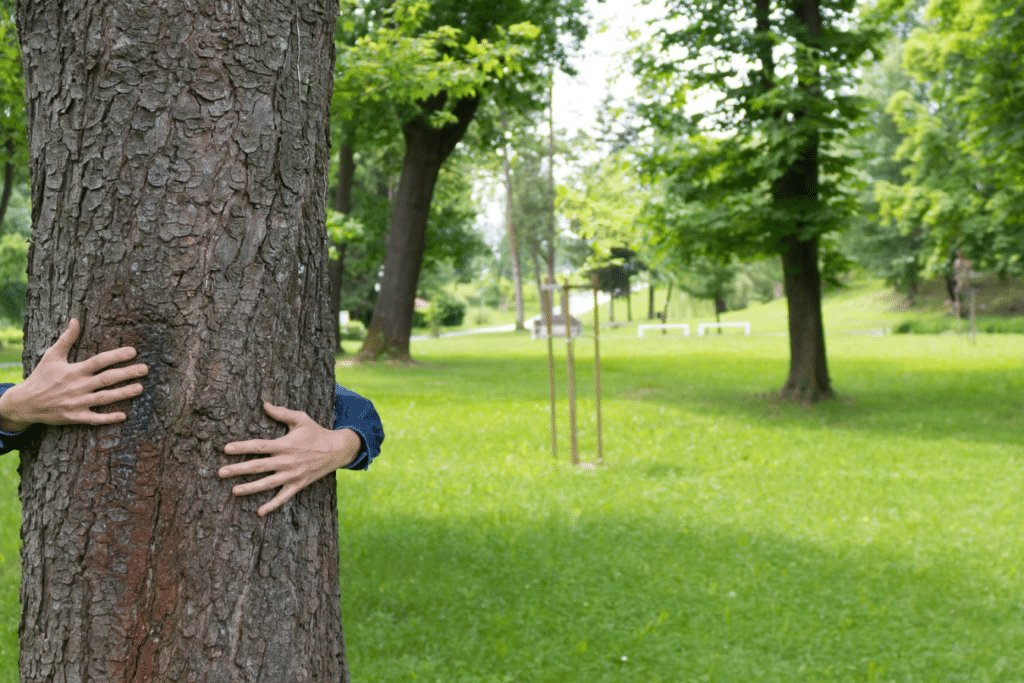 11268 Hug a Treejpg