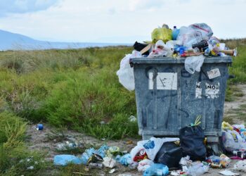В 202 общини: разделно събраните и предадени за рециклиране отпадъци са по-малко от 5%