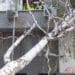 Бедственото положение остава във Варна и днес 8 Бедственото положение остава във Варна и днес