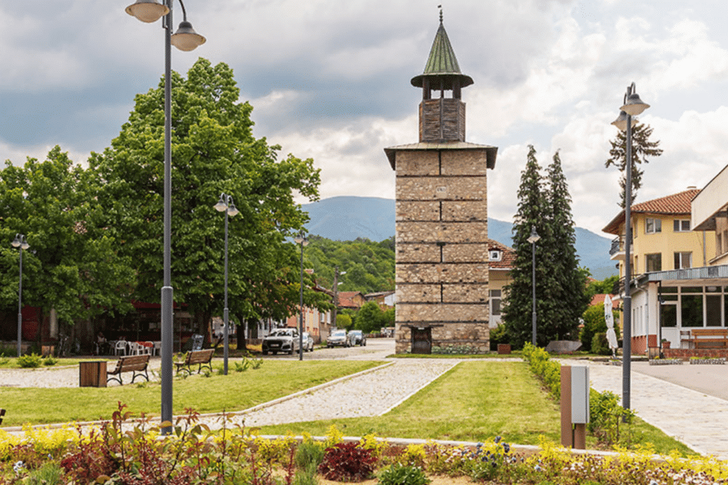 Берковица