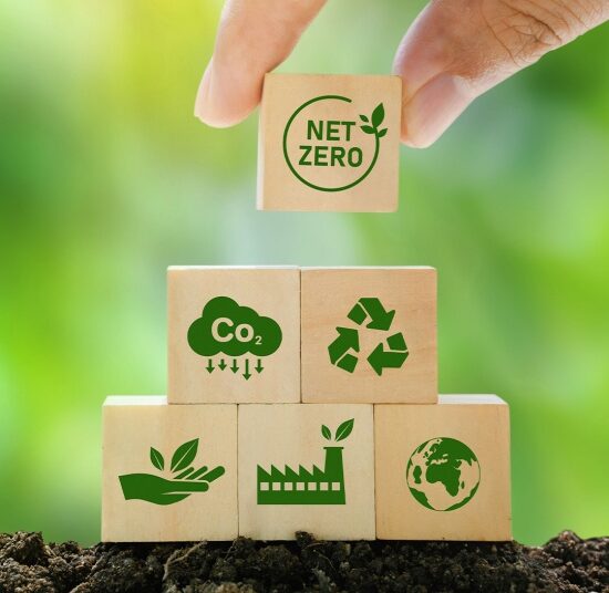 thumb 550x0 UG Sustainability report 2022