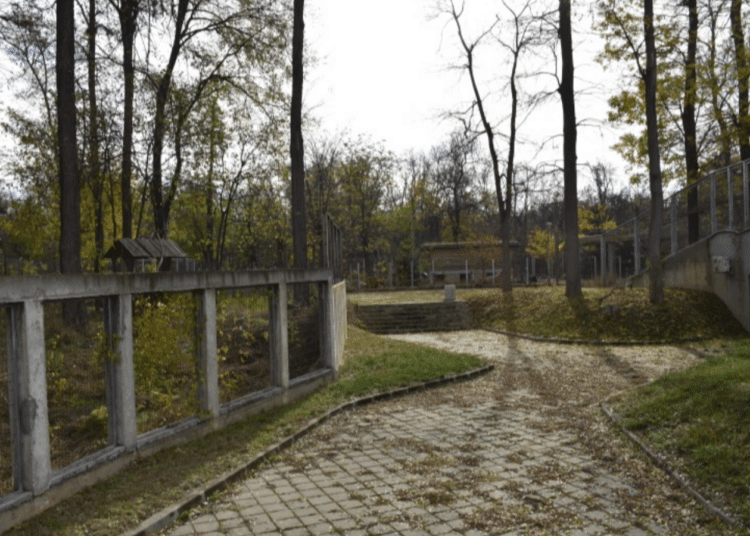 16450 obshtinata sazdava op zoologicheska 634jpg