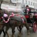 Баба Марта пристига с файтон във Велико Търново