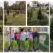 Велико Търново отново раздава фиданки, храсти и цветя