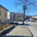 В Панагюрище отстраниха опасни дървета