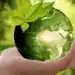 Честваме Деня на Земята! 8 Честваме Деня на Земята!