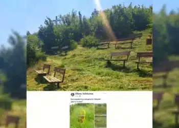 Когато местното управление следва хората