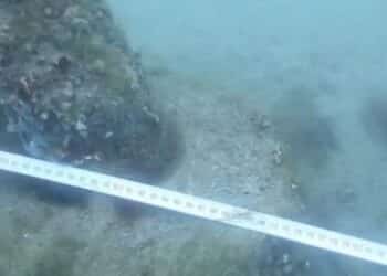 Откриха уникална подводна мистерия в Царево (видео)
