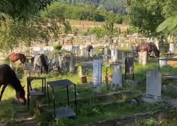 Етрополе благодари на будните граждани, помагащи за справяне с вандализма