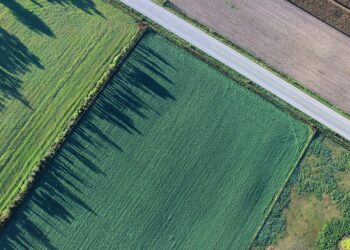 Нивите край Каварна надминаха 4000 лв. за декар