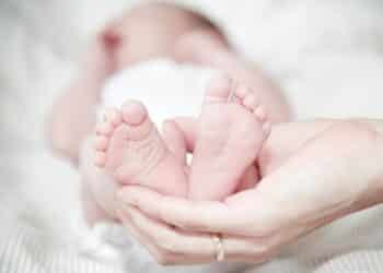 317 бебета се родиха по инвитро програмата на Варна
