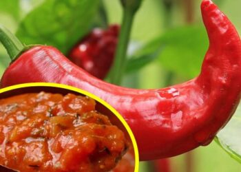 Вкусен празник: Варят 100 килограма лютеница в старозагорско село