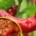 Вкусен празник: Варят 100 килограма лютеница в старозагорско село 8 Вкусен празник: Варят 100 килограма лютеница в старозагорско село