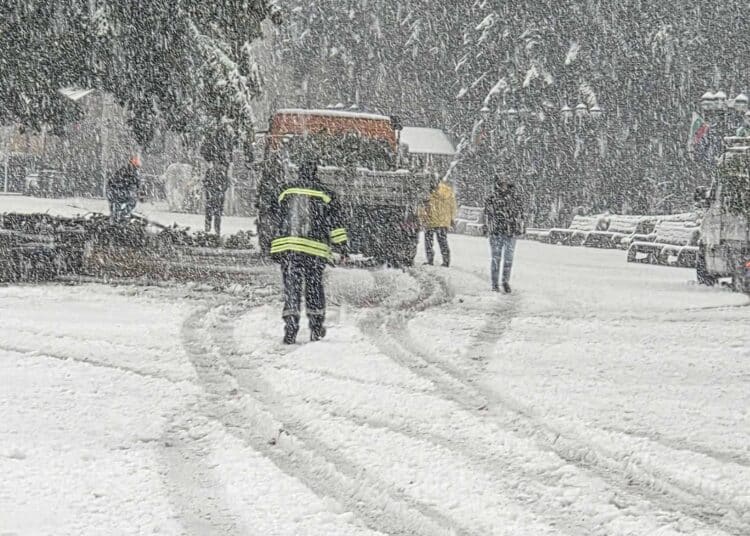 Усложнена обстановка в община Етрополе поради падналия мокър сняг 1 viber image 2025 10 03 09 15 09 035