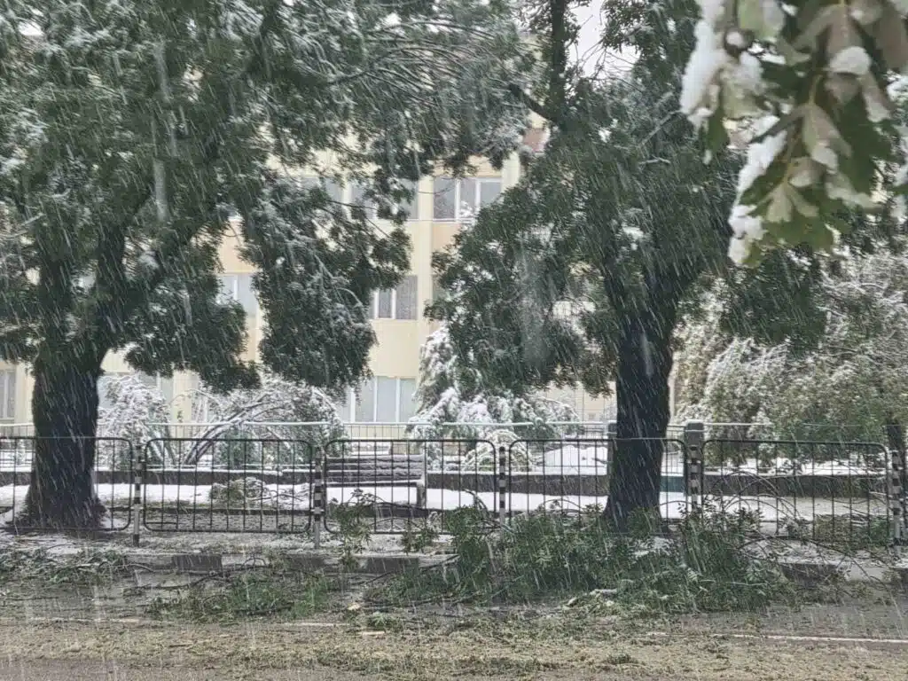 Усложнена обстановка в община Етрополе поради падналия мокър сняг 4 viber image 2025 10 03 09 15 18 335
