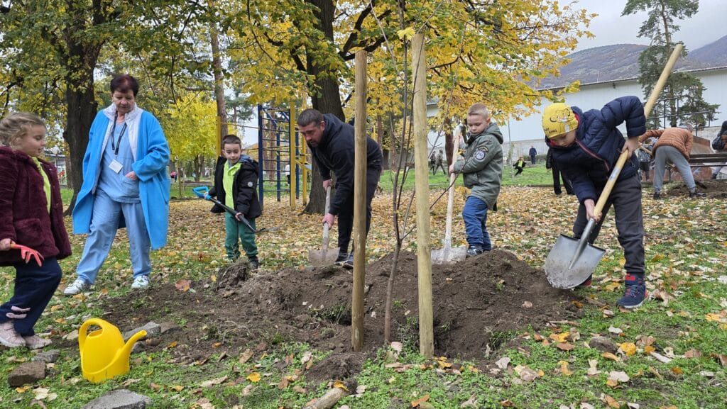 Деца и родители засадиха 50 дръвчета в парковете в Карлово (снимки) 4 4 5