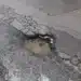 В Странджа преброиха 1200 дупки на 6-километров път