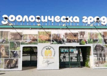Зоопаркът в София има нова фотоволтаична централа