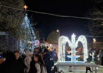Запалиха светлините на коледната елха в Ивайловград (снимки)