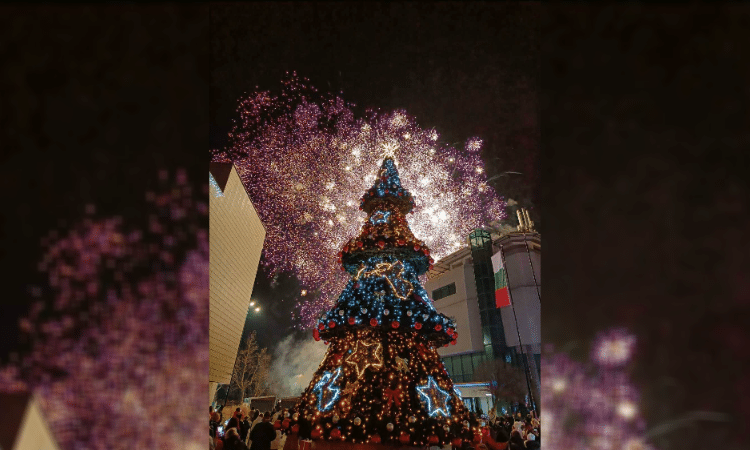 photomix image 3