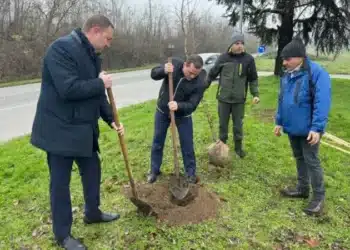 Кметът на Русе Пенчо Милков се включи в засаждането на 70 чинара