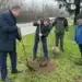 Кметът на Русе Пенчо Милков се включи в засаждането на 70 чинара 8 Кметът на Русе Пенчо Милков се включи в засаждането на 70 чинара