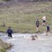 В село Кошарица в Несебър отново бе спазена традицията "Къпане на зетьове" на Ивановден 8 В село Кошарица в Несебър отново бе спазена традицията “Къпане на зетьове” на Ивановден