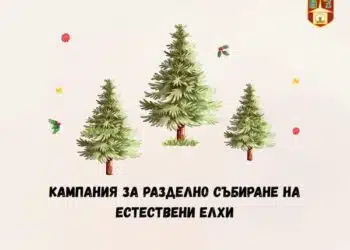 В Самоков организираха кампания за събиране на коледни елхи