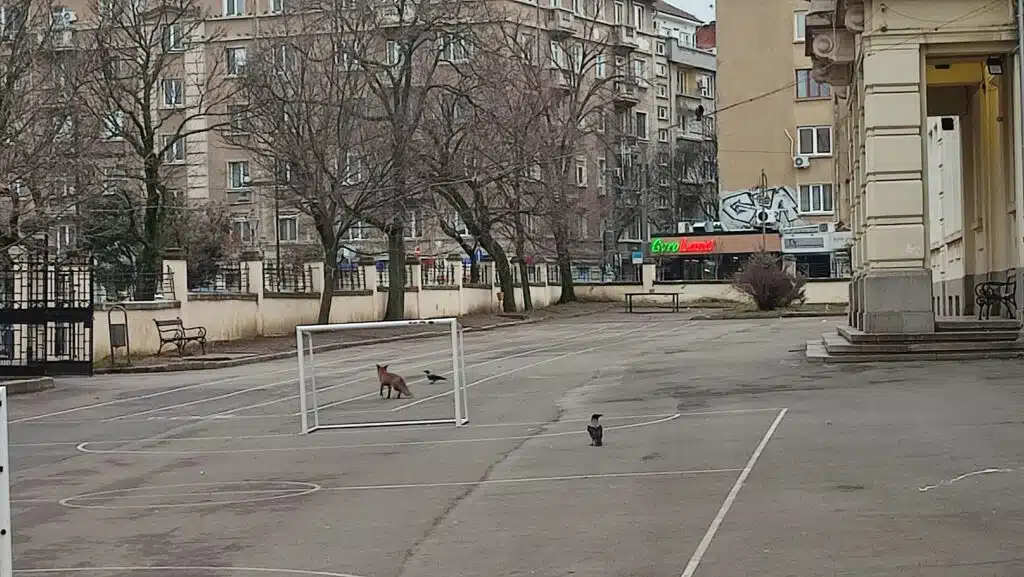 3 31