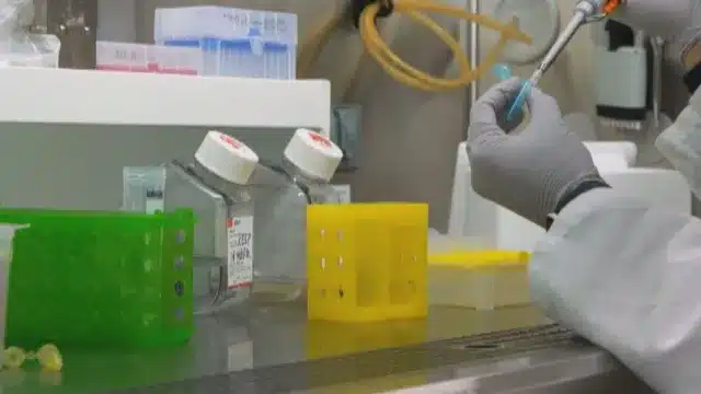 Българка откри препарат, който спира ракови образувания и метастази 5 11
