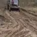 Историческата местност Петрова нива е превърната в дърводобивен терен