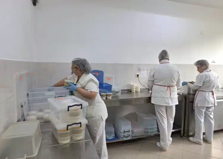 Детската кухня в Несебър с качествена и разнообразна храна за най-малките в общината 1 1 13