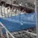 Въжен мост се превърна в истинско предизвикателство за посетителите на Айфеловата кула (снимки)