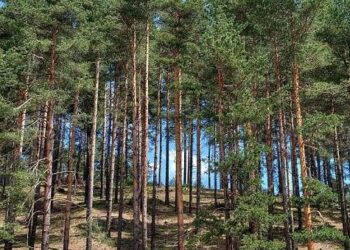 Горите – стратегически ресурс за Швеция